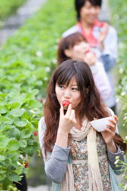 イチゴを食べながら歩く若者グループ の写真素材 イラスト素材 アマナイメージズ