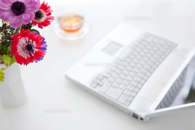 花とノートパソコン の写真素材 イラスト素材 アマナイメージズ