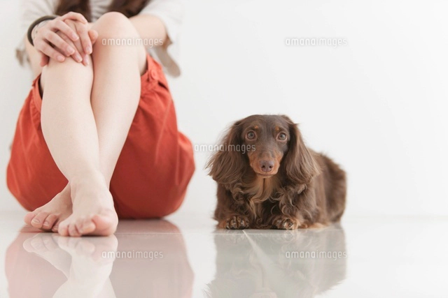 女性と犬[07800022201]の写真・イラスト素材｜アマナイメージズ