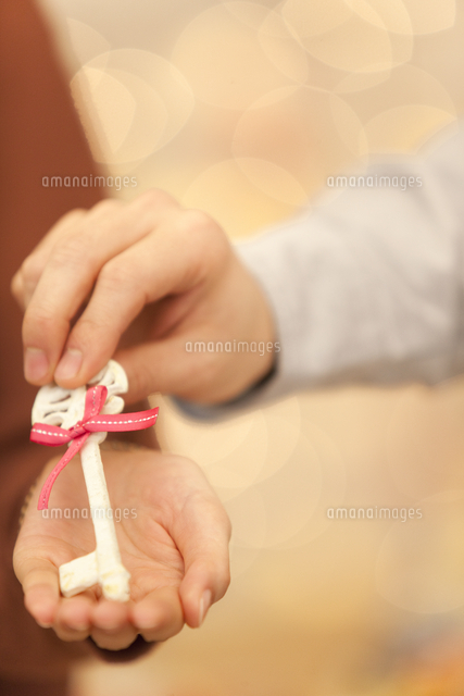 鍵を手渡している男女の手 の写真素材 イラスト素材 アマナイメージズ