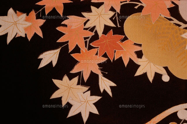 もみじ模様[09501010194]の写真・イラスト素材｜アマナイメージズ