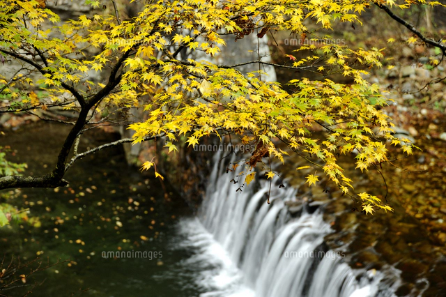 油絵 絵画 【紅葉川渓谷】 油絵 絵画 【紅葉川渓谷】 油絵 絵画 【紅葉川渓谷】