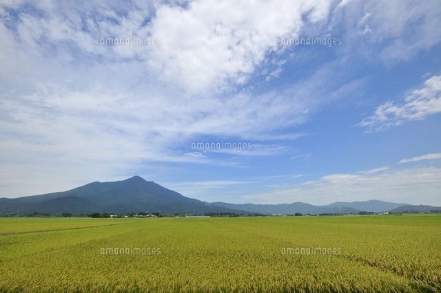 筑波山[10002010919]の写真・イラスト素材｜アマナイメージズ