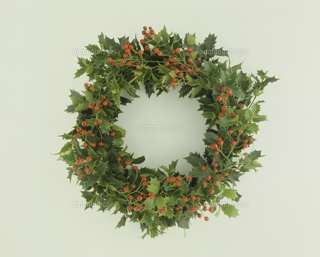 ヒイラギと赤い実のリース の写真素材 イラスト素材 アマナイメージズ