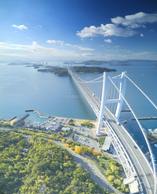 瀬戸大橋展望所付近から望む瀬戸大橋[10009050177]の写真・イラスト