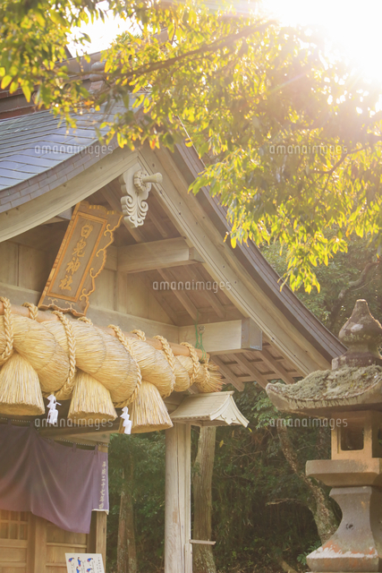 白兎神社本殿と朝の光 の写真素材 イラスト素材 アマナイメージズ