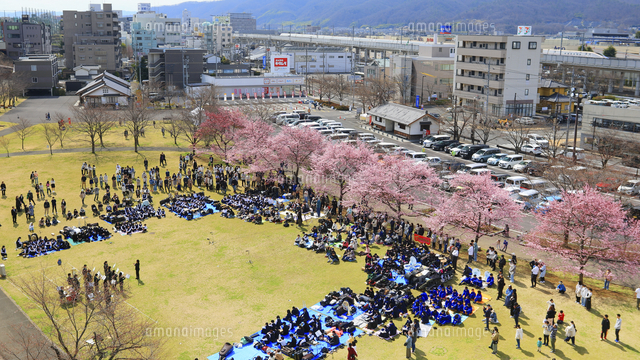 上田城の西櫓から望む芝生広場の桜コンサートと北陸新幹線[10009058399