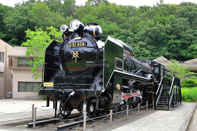 生田緑地 蒸気機関車D51[10022000949]の写真・イラスト素材｜アマナ