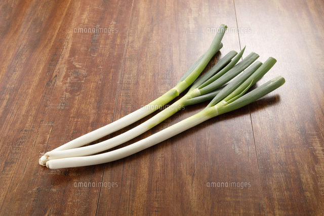 長ねぎ の写真素材 イラスト素材 アマナイメージズ