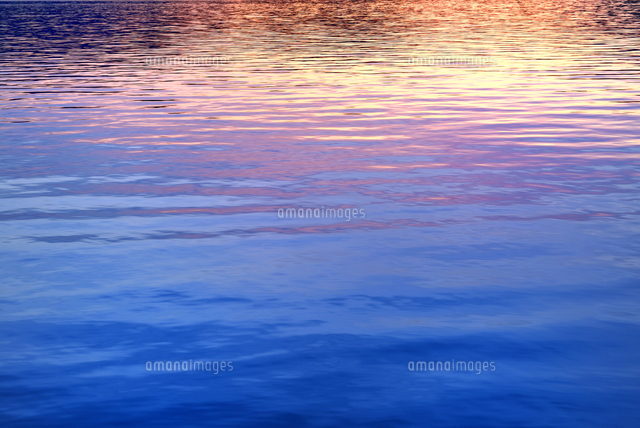水面(みなも)の夕焼け　青紫の抽象風景画 キャンバス 裏磐梯 檜原湖・夕焼けの水面[10062000856]の写真・イラスト素材