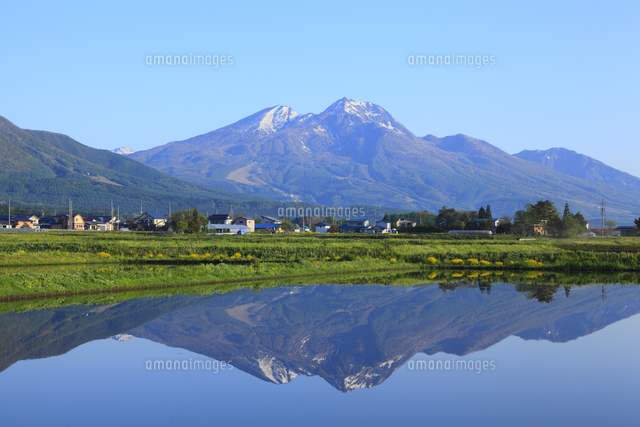 水田と北信五岳・妙高山[10063000576]の写真・イラスト素材｜アマナ