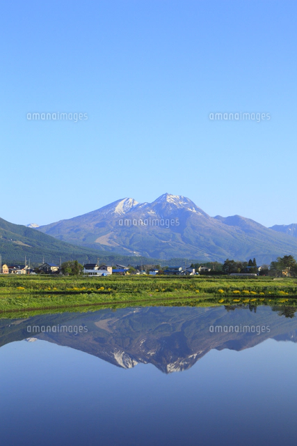 水田と北信五岳・妙高山[10063000576]の写真・イラスト素材｜アマナ