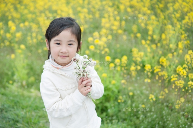 花を摘む女の子 の写真素材 イラスト素材 アマナイメージズ