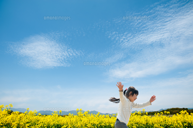 菜の花畑を駆け抜ける女の子 の写真素材 イラスト素材 アマナイメージズ