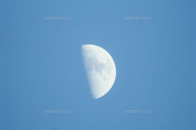 昼の半月 の写真素材 イラスト素材 アマナイメージズ