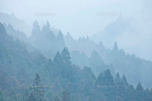 雨の山 の写真素材 イラスト素材 アマナイメージズ