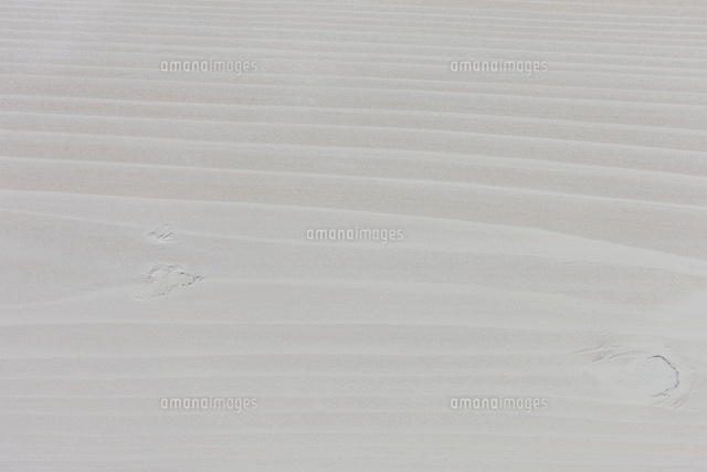 グレーの板 の写真素材 イラスト素材 アマナイメージズ