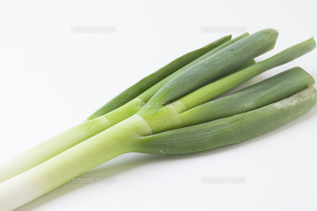 長ねぎ の写真素材 イラスト素材 アマナイメージズ