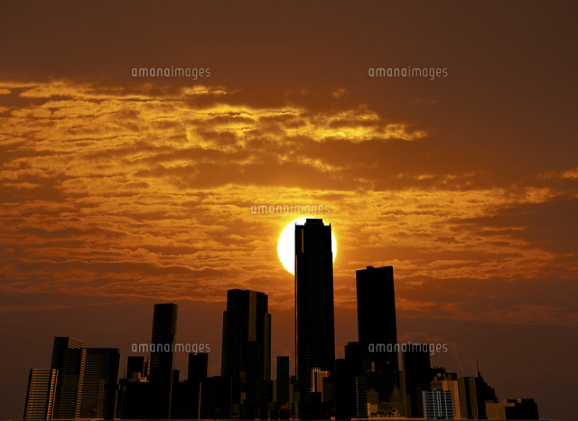 夕日とビル群 の写真素材 イラスト素材 アマナイメージズ