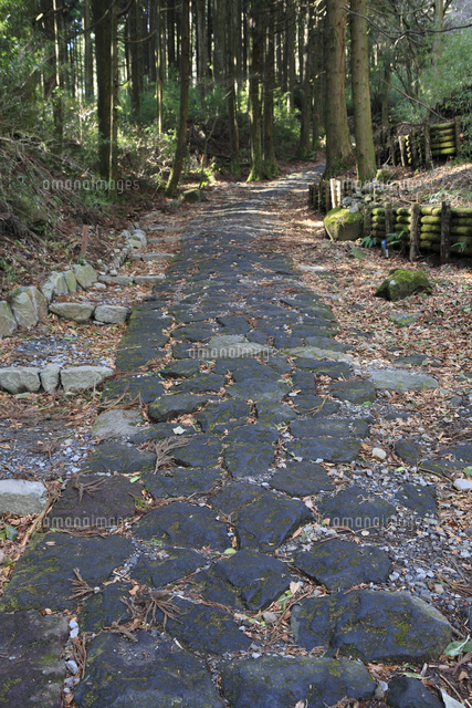 箱根旧街道石畳 の写真素材 イラスト素材 アマナイメージズ
