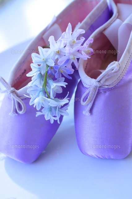 シラーとバレーシューズ の写真素材 イラスト素材 アマナイメージズ
