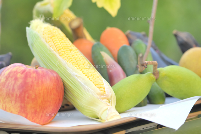 十五夜のお供え物 の写真素材 イラスト素材 アマナイメージズ