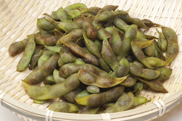 丹波黒枝豆 の写真素材 イラスト素材 アマナイメージズ