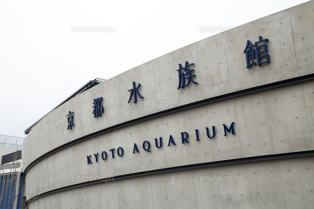 京都水族館[10131045680]の写真・イラスト素材｜アマナイメージズ