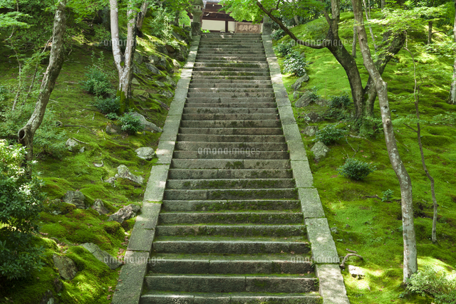 常寂光寺の石段[10131048611]の写真・イラスト素材｜アマナイメージズ