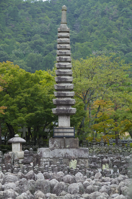 秋の京都「化野念仏寺」風景画 油絵 油彩画 絵 絵画 寺 原画 P30号 素晴らしい価格 油絵 秋の京都「化野念仏寺」風景画 油彩画 P30