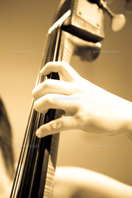 コントラバスを引く手元 の写真素材 イラスト素材 アマナイメージズ