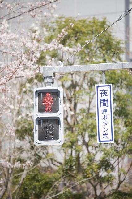 歩行者用信号機[10131064283]の写真・イラスト素材｜アマナイメージズ