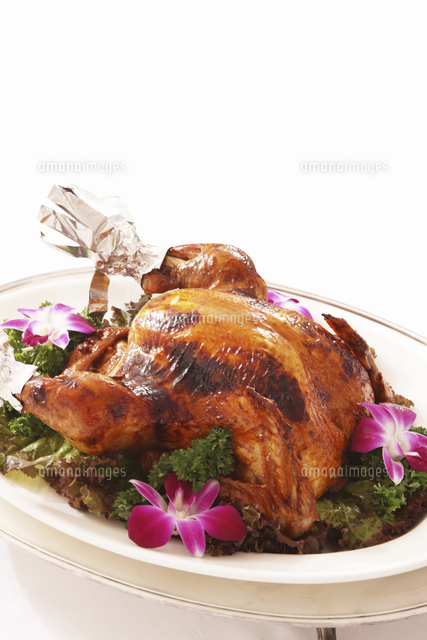 ロｰストタｰキｰ の写真素材 イラスト素材 アマナイメージズ