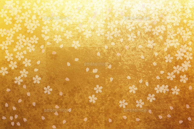 日本画 屏風 金色の背景 花 1176【白菊図・金屏風】純白の輝きと優雅な