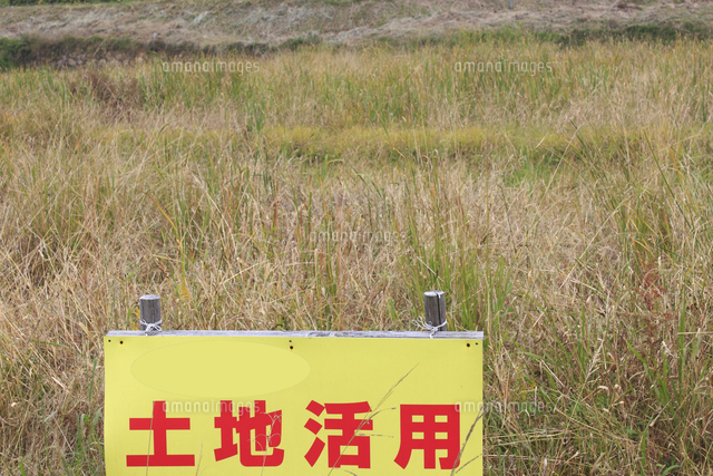 売り土地 の写真素材 イラスト素材 アマナイメージズ