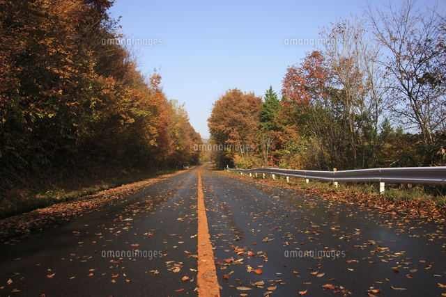 蒜山高原の紅葉 の写真素材 イラスト素材 アマナイメージズ 蒜山高原の紅葉 の写真素材 イラスト素材 アマナイメージズ