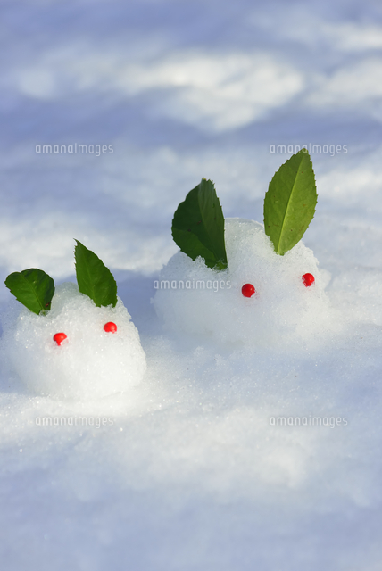 雪で作ったウサギ[10131080414]の写真・イラスト素材｜アマナイメージズ