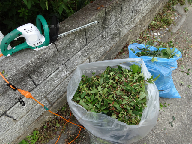 垣根カッターと剪定された枝 の写真素材 イラスト素材 アマナイメージズ
