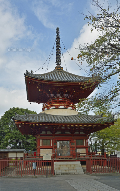 川越大師喜多院 多宝塔 の写真素材 イラスト素材 アマナイメージズ