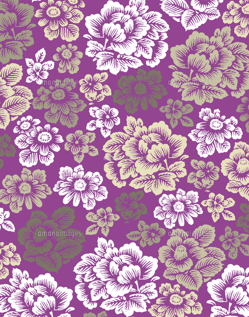 花柄のパターン の写真素材 イラスト素材 アマナイメージズ