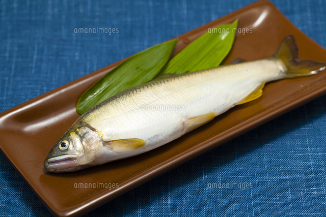 あゆ の写真素材 イラスト素材 アマナイメージズ