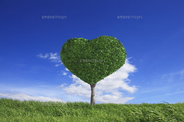 草原とハートの木 の写真素材 イラスト素材 アマナイメージズ