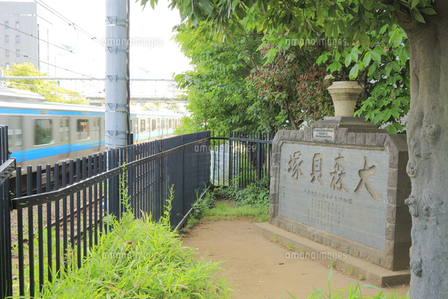 縄文土器の写真素材 ストックフォト アマナイメージズ