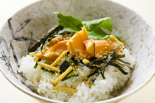 サケ茶漬けの写真素材 ストックフォト アマナイメージズ