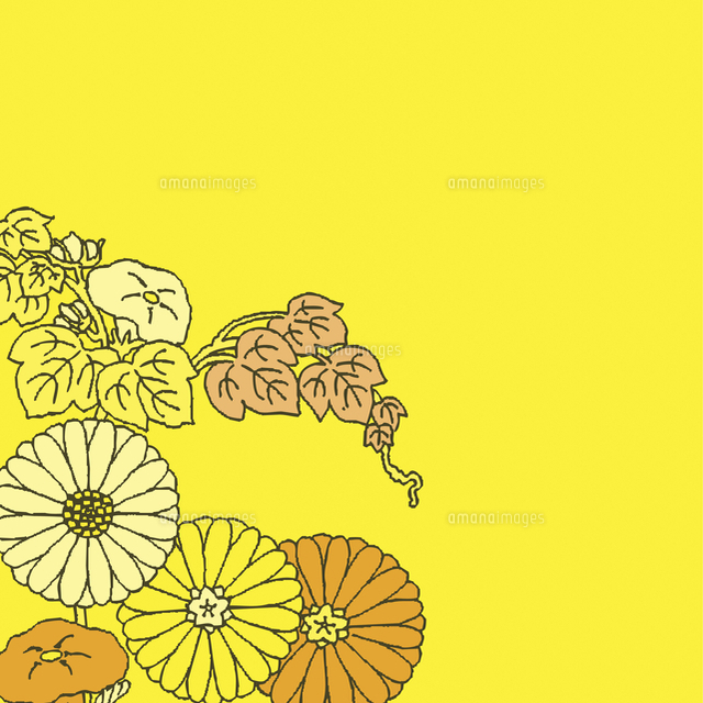 京文様 の写真素材 イラスト素材 アマナイメージズ