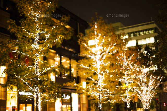街路樹のクリスマスイルミネーション の写真素材 イラスト素材 アマナイメージズ