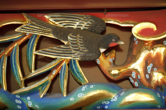 上野東照宮 透塀 吐綬鶏の彫刻[10131496678]の写真・イラスト素材