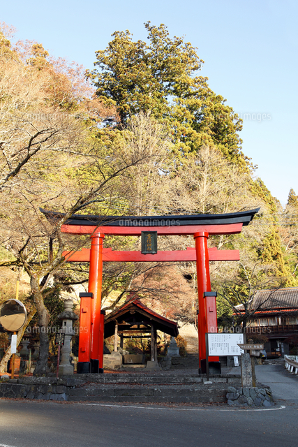 金桜神社 かなざくらじんじゃ 甲府市 の鳥居 の写真素材 イラスト素材 アマナイメージズ