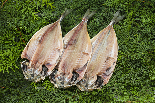 アジの開き の写真素材 イラスト素材 アマナイメージズ