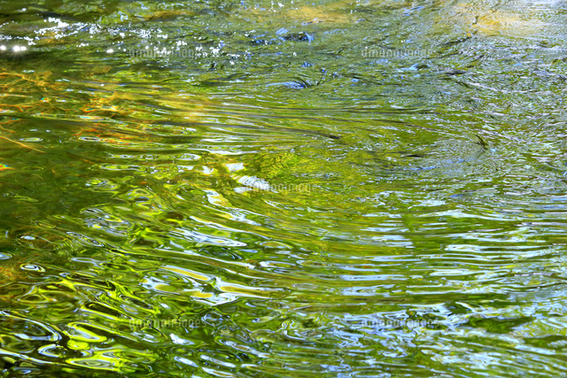 恵みの森 大滝沢の水面[10131503307]の写真・イラスト素材｜アマナ